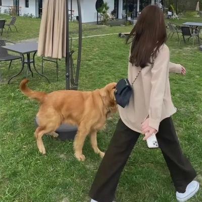 梦断乐缘堂