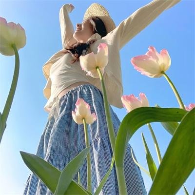 公牛